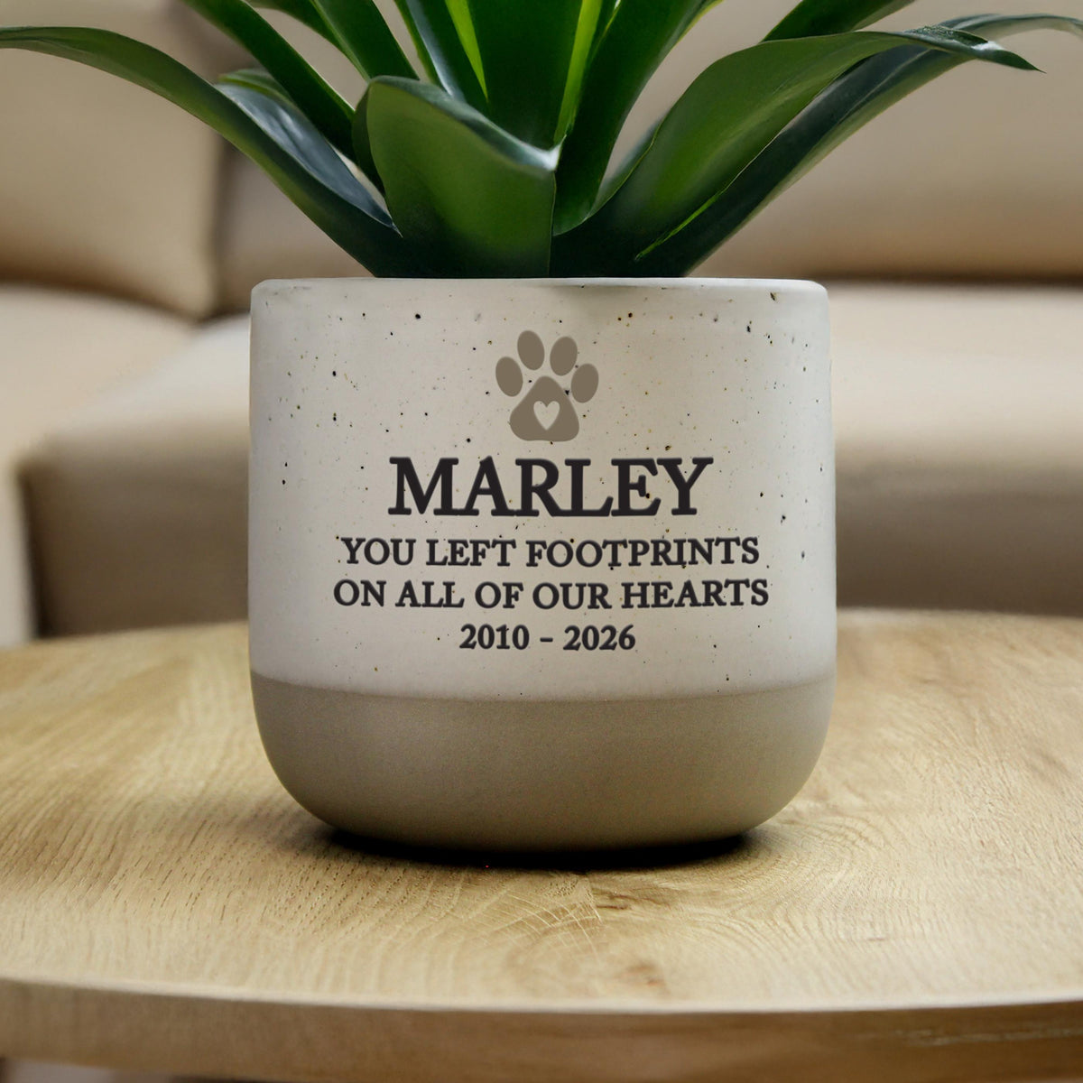 Personalised Pet Memorial Flecked Plant Pot, The Personal Shop, personalised gifts