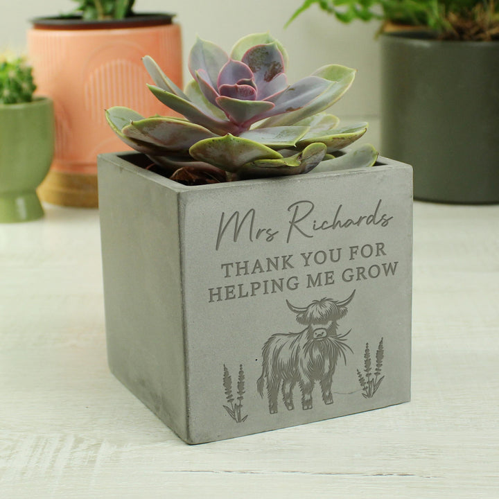 Personalised Highland Cow Concrete Plant Pot – alternative view