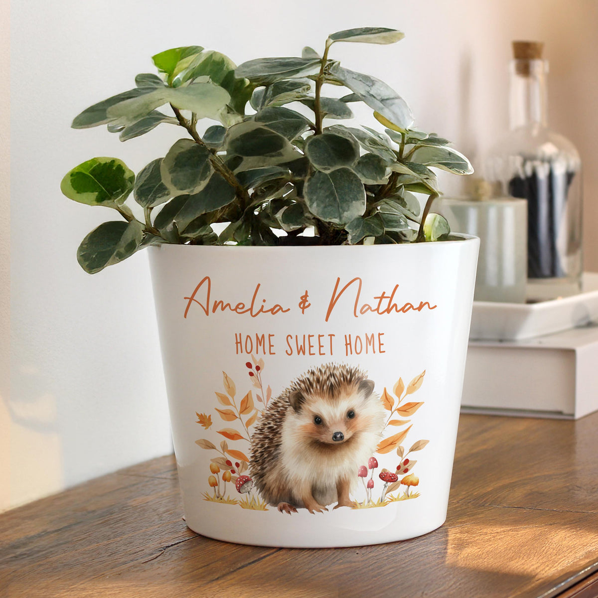 Personalised Hedgehog Large Plant Pot, The Personal Shop, personalised gifts