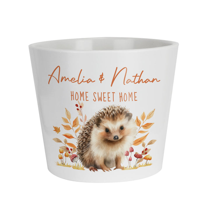 Personalised Hedgehog Large Plant Pot, The Personal Shop, personalised gifts