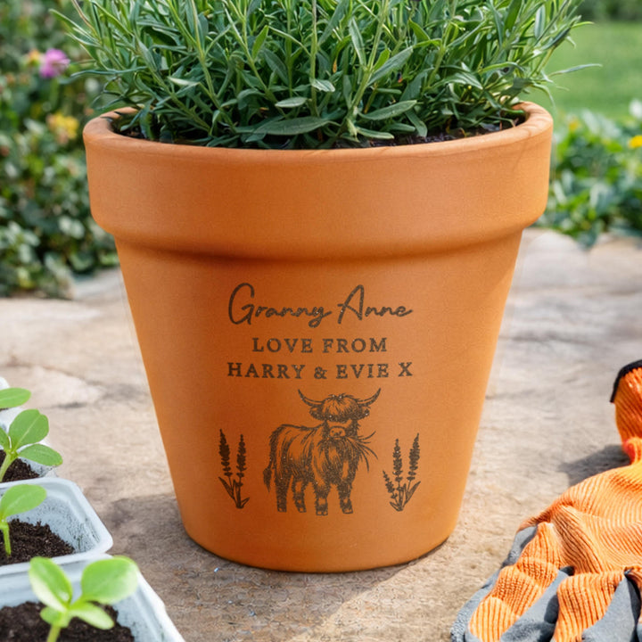 Personalised Highland Cow Terracotta Plant Pot, The Personal Shop, personalised gifts