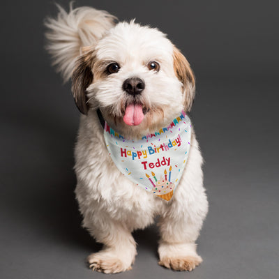 Personalised Happy Birthday Dog Bandana