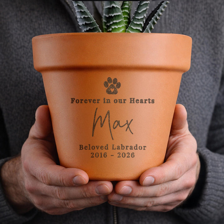 Personalised Pet Memorial Terracotta Plant Pot, The Personal Shop, personalised gifts