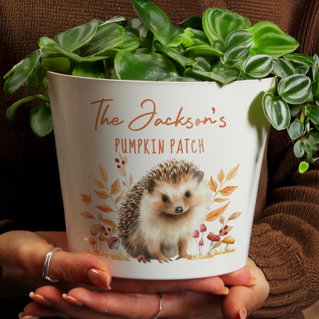 Personalised Hedgehog Large Plant Pot, The Personal Shop, personalised gifts