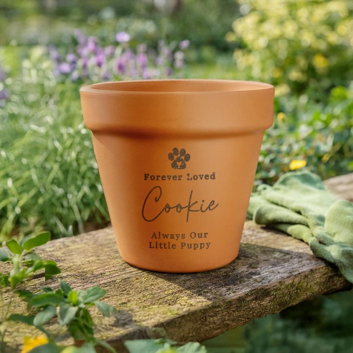 Personalised Pet Memorial Terracotta Plant Pot, The Personal Shop, personalised gifts