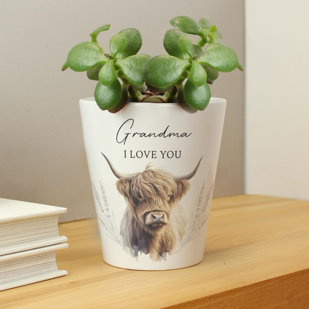 Personalised Highland Cow Plant Pot – alternative view