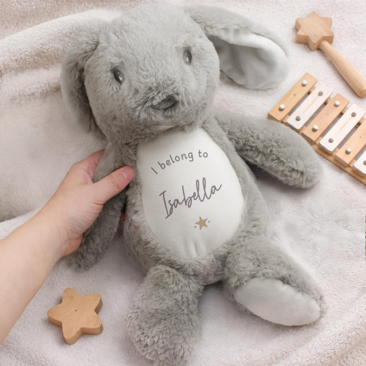 Personalised I belong to Bunny, The Personal Shop, personalised gifts