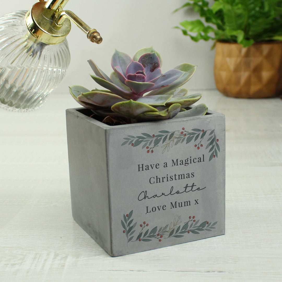 Personalised Christmas Foliage Concrete Planter – alternative view