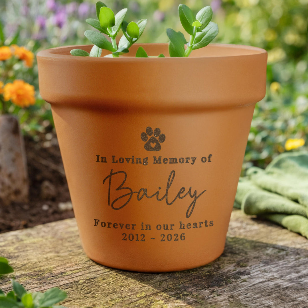 Personalised Pet Memorial Terracotta Plant Pot, The Personal Shop, personalised gifts