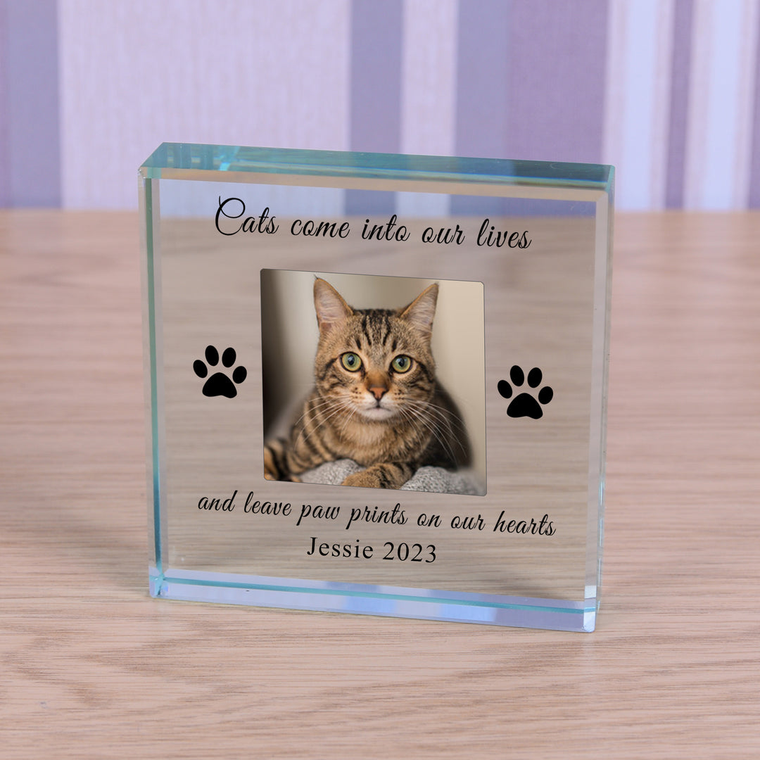 Personalised Cat In Memory Glass Token with Photo
