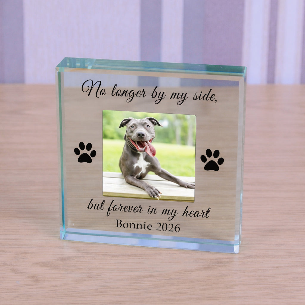 Personalised Pet Memorial Glass Token with Photo
