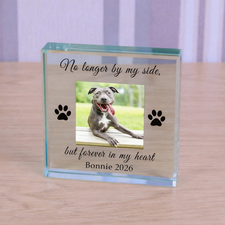 Personalised Pet Memorial Glass Token with Photo