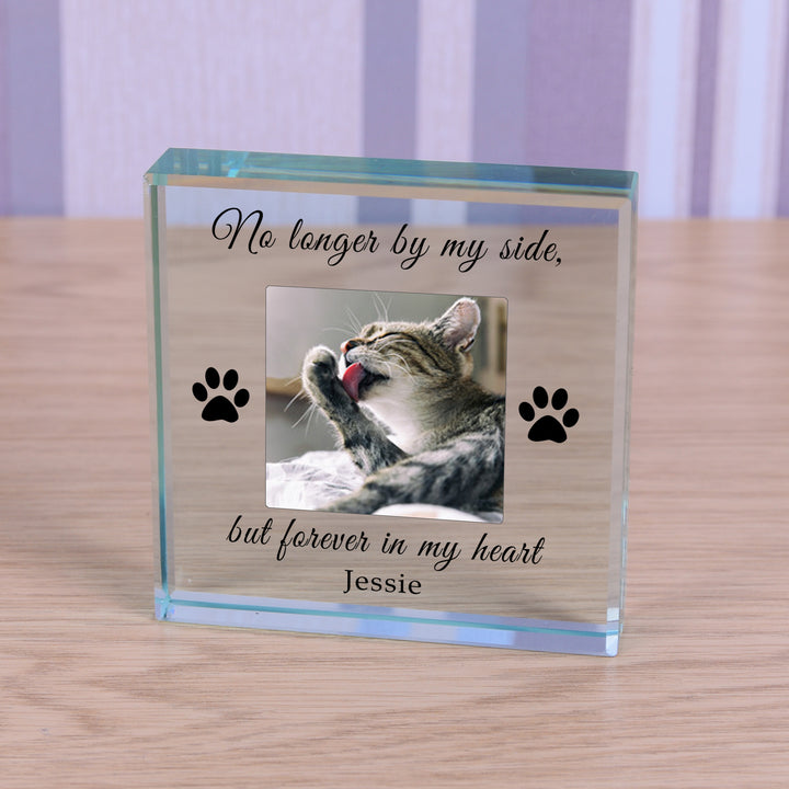 Personalised Pet Memorial Glass Token with Photo