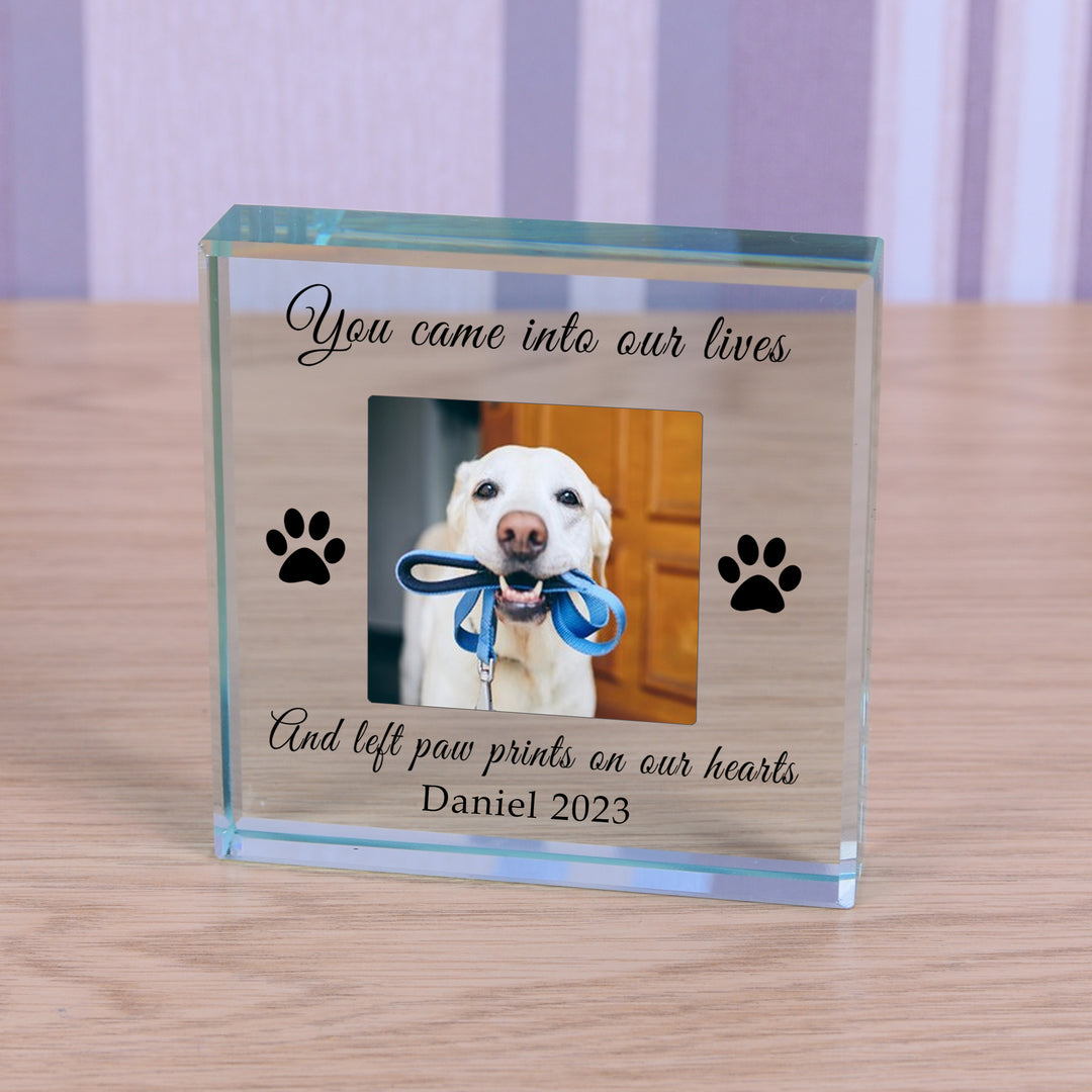 Personalised Paw Prints Pet Memory Glass Token