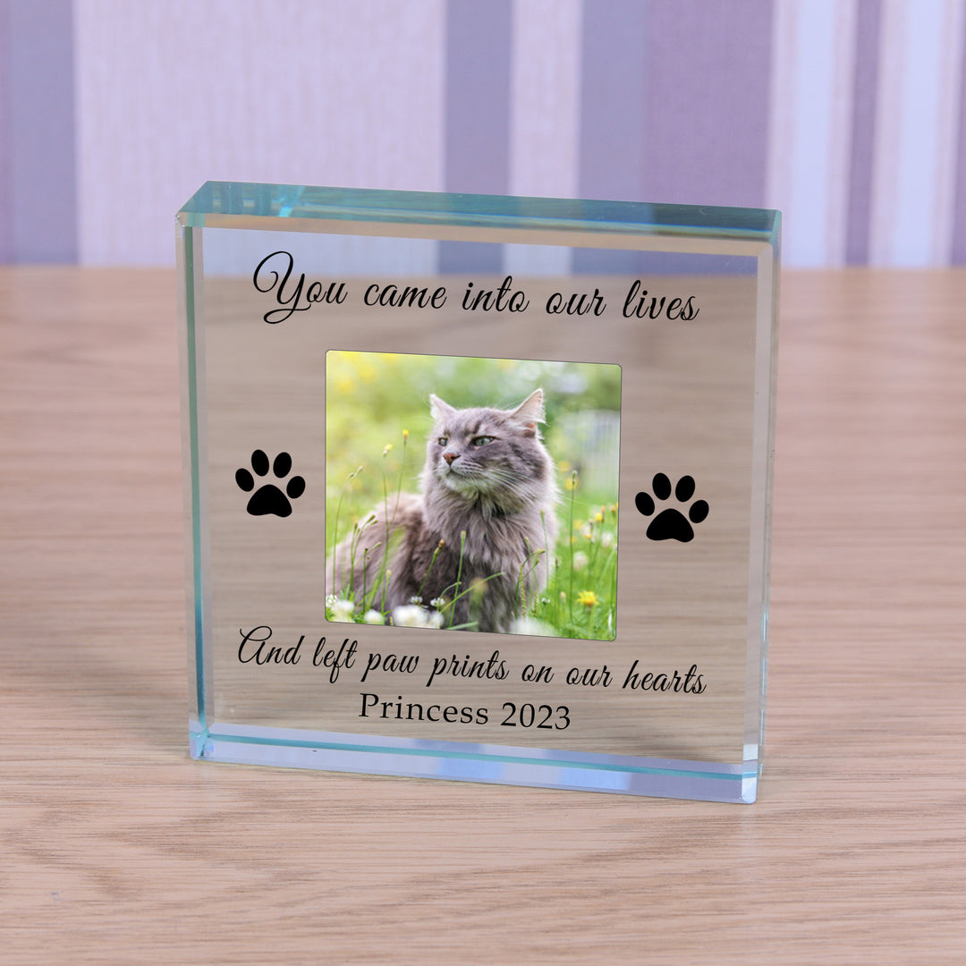 Personalised Paw Prints Pet Memory Glass Token