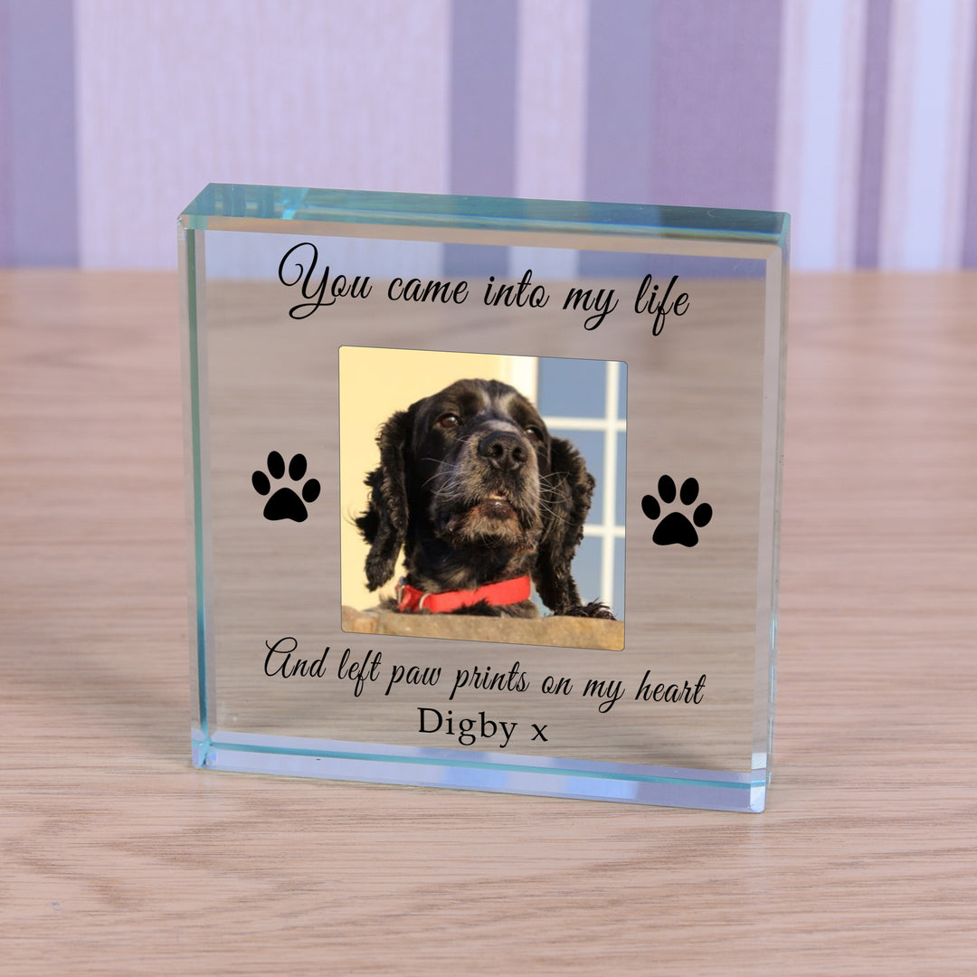 Personalised Paw Prints Pet Memory Glass Token