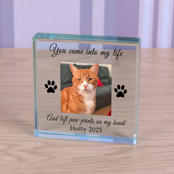 Personalised Paw Prints Pet Memory Glass Token
