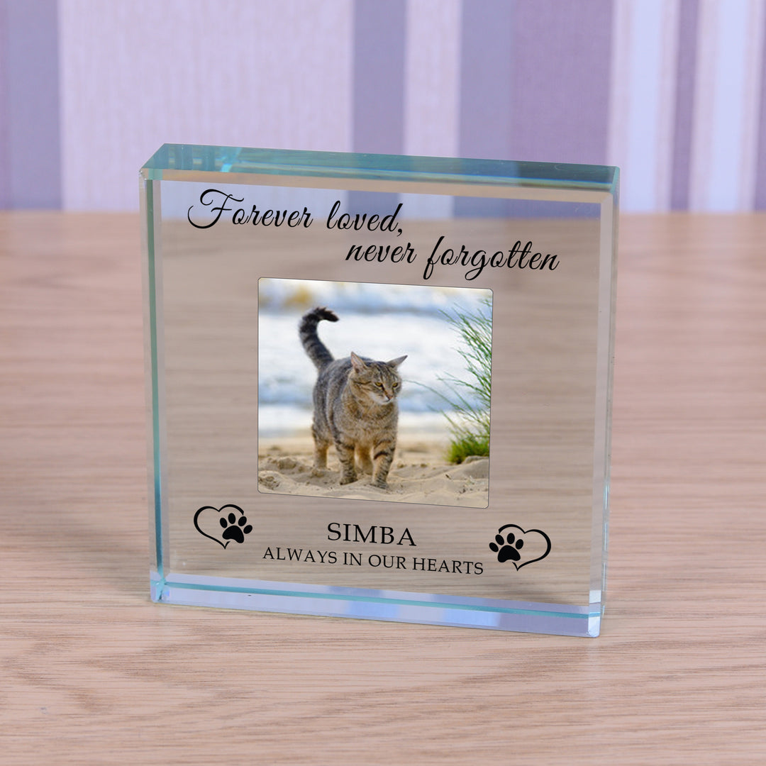 Personalised Pet Memory Glass Token with Photo