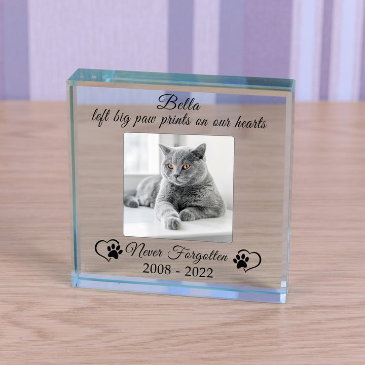 Personalised Pet Memorial Glass Token with Photo