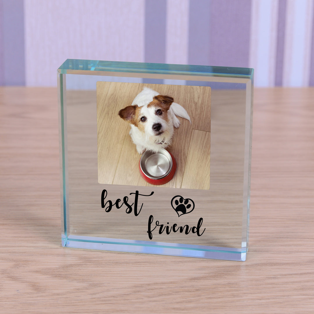 Personalised Best Friend Pet Glass Photo Token