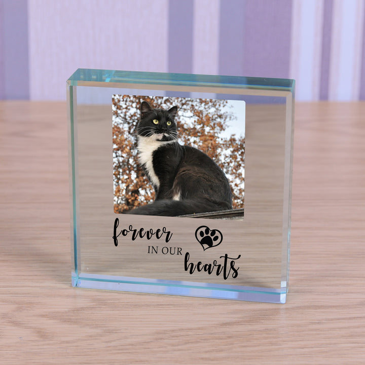 Personalised Pet Memorial Glass Token with Photo