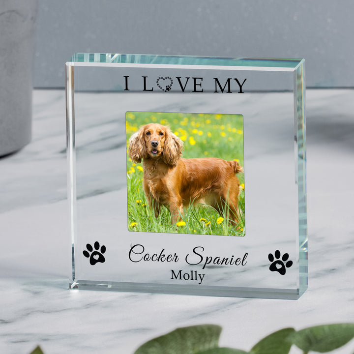 Personalised I/We Love Our Dog Glass Token with Photo