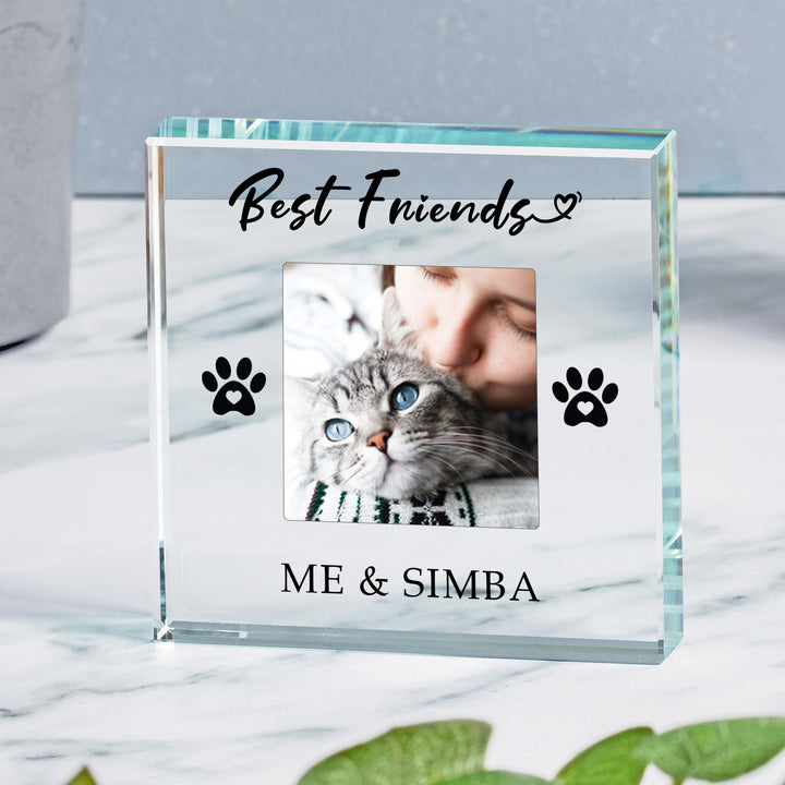 Personalised Pet Best Friends Glass Token with Photo