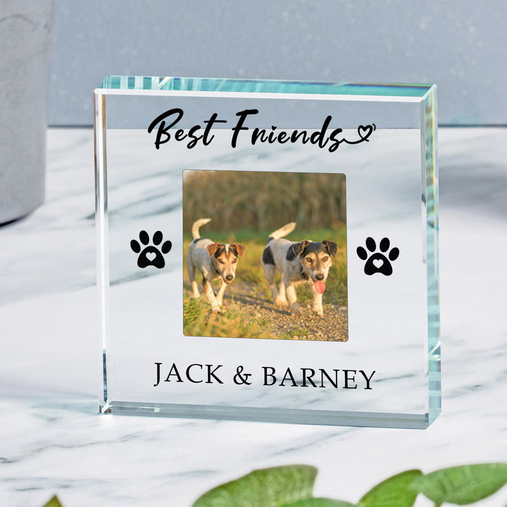 Personalised Pet Best Friends Glass Token with Photo