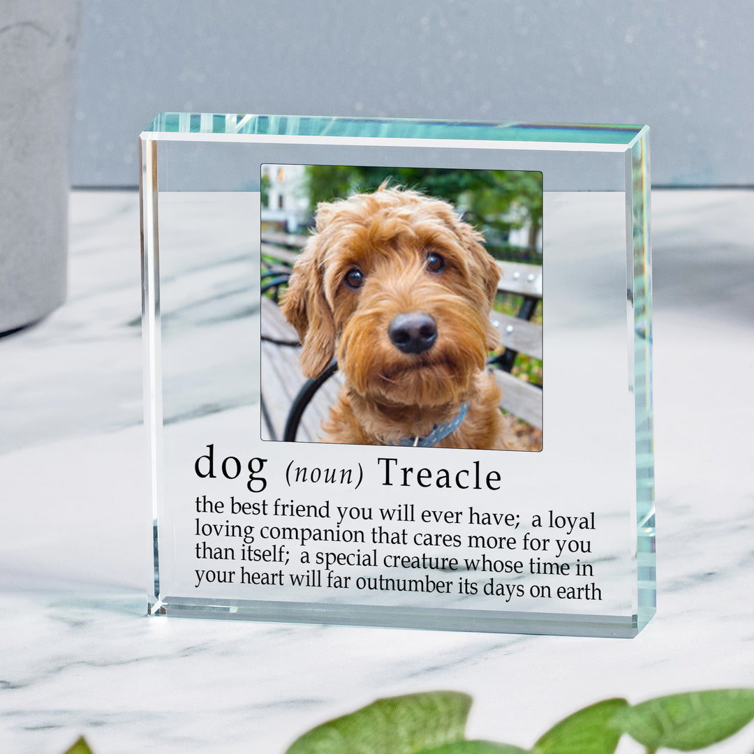 Personalised Dog Definition Glass Token with Photo