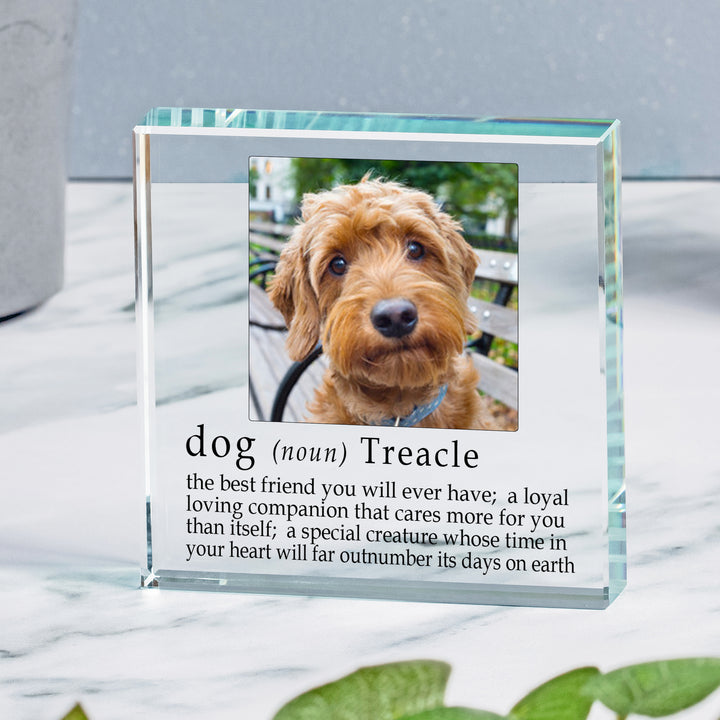 Personalised Dog Definition Glass Token with Photo