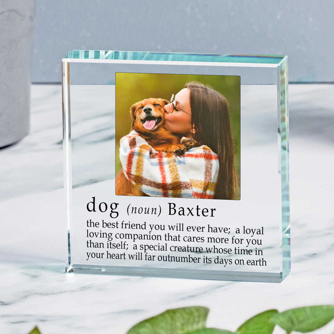 Personalised Dog Definition Glass Token with Photo