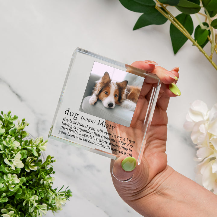 Personalised Dog Definition Glass Token with Photo