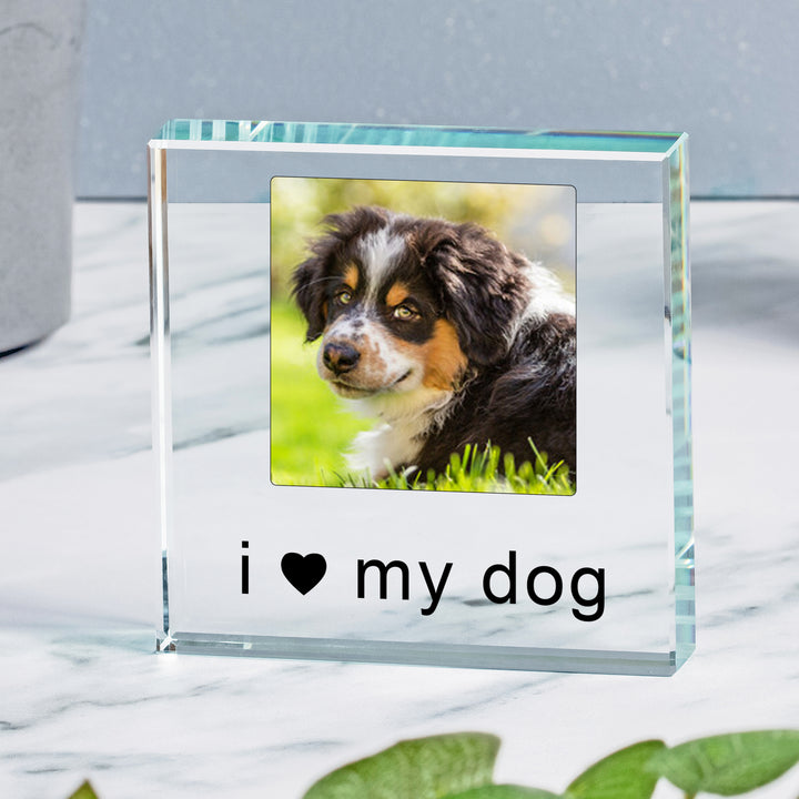 Personalised Love My Pet Glass Token with Photo