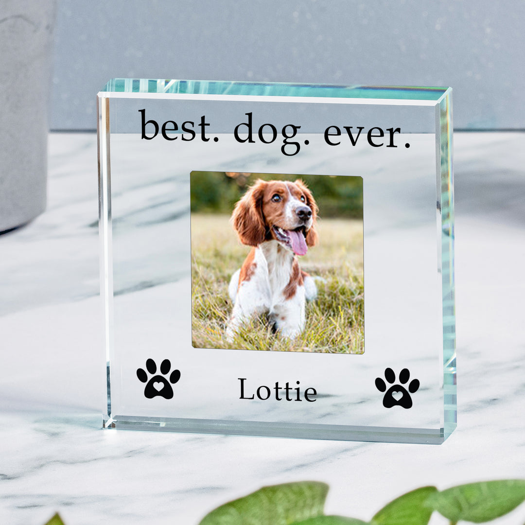 Personalised Best Dog Ever Glass Token with Photo