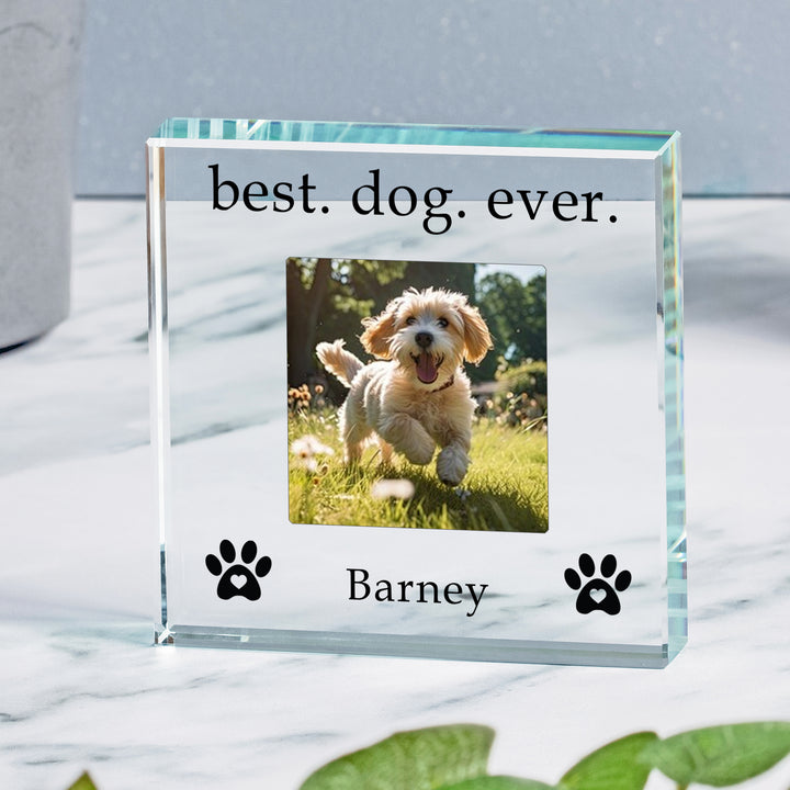 Personalised Best Dog Ever Glass Token with Photo