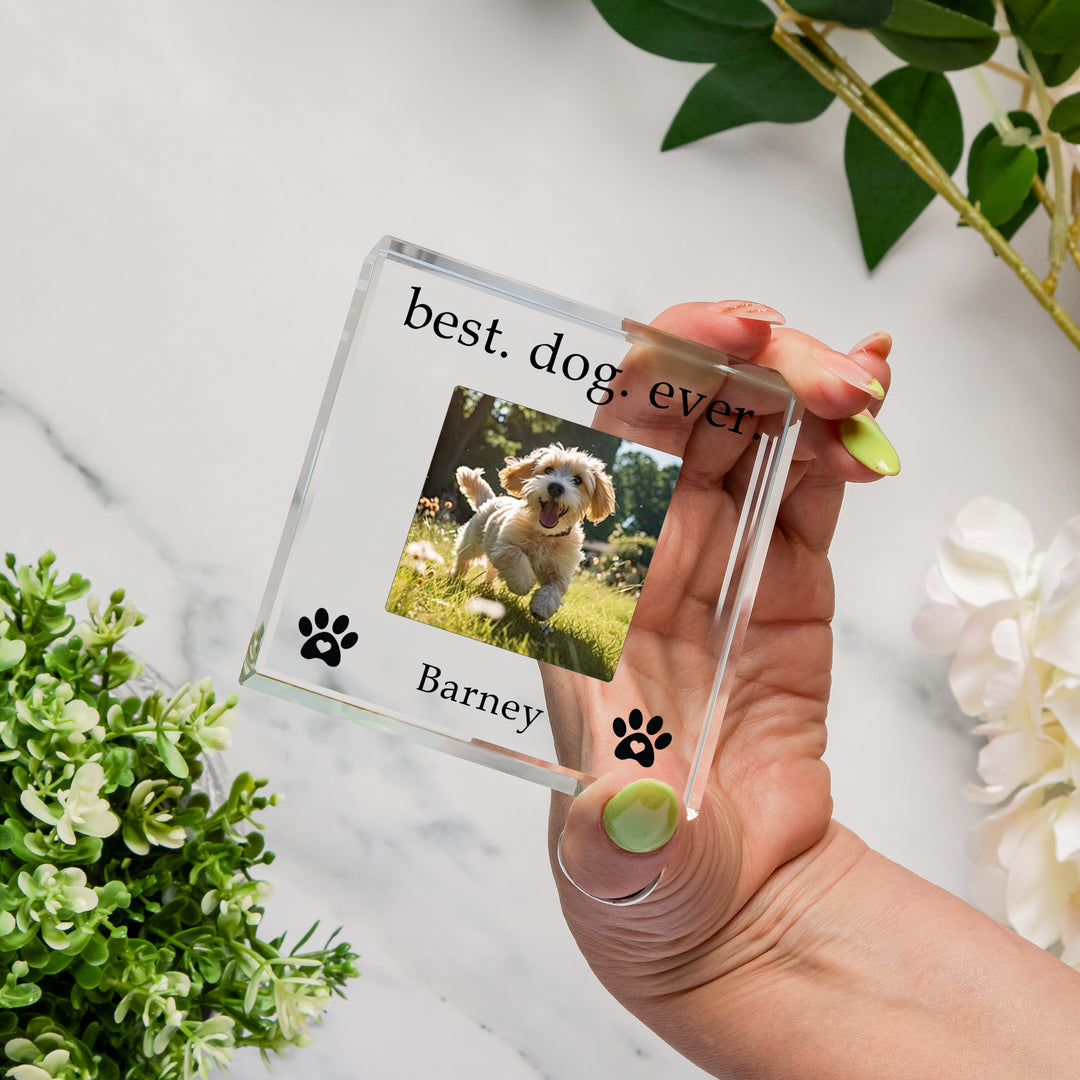 Personalised Best Dog Ever Glass Token with Photo