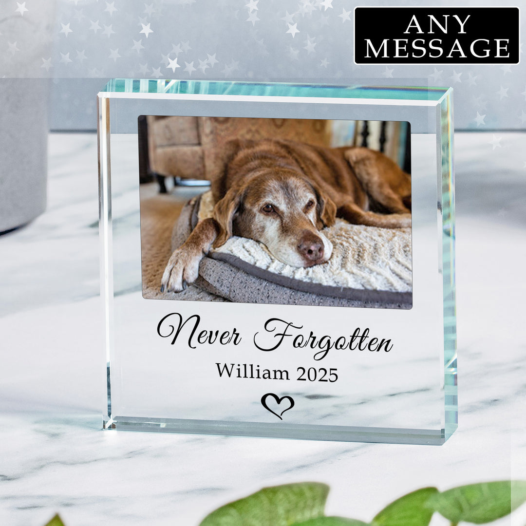 Personalised Pet Photo Glass Token with Two Lines of Text