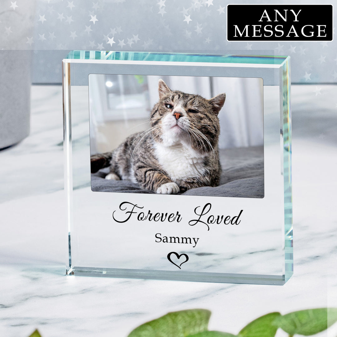 Personalised Pet Photo Glass Token with Two Lines of Text