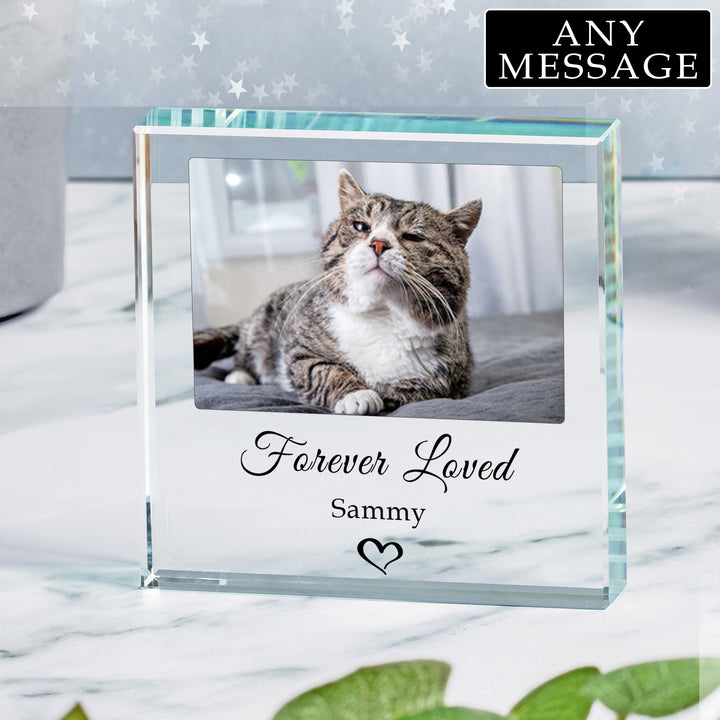 Personalised Pet Photo Glass Token with Two Lines of Text