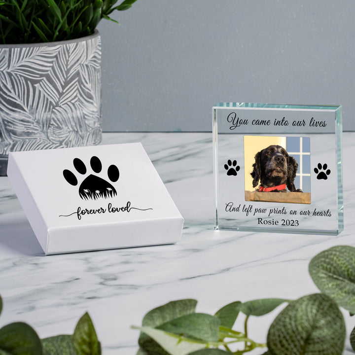 Personalised Paw Prints Glass Photo Token