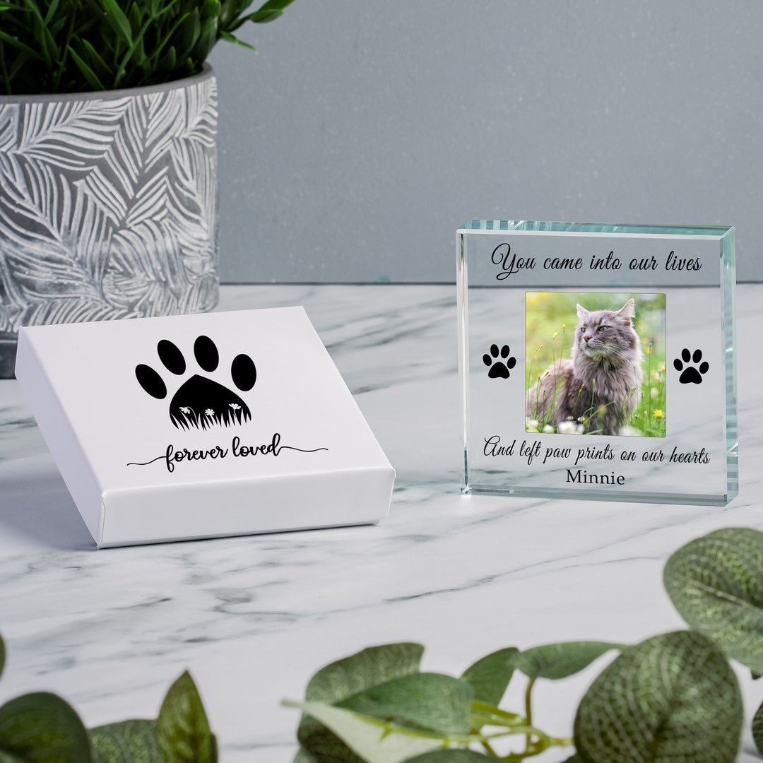 Personalised Paw Prints Glass Photo Token