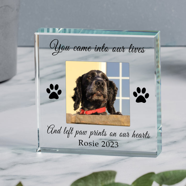 Personalised Paw Prints Glass Photo Token