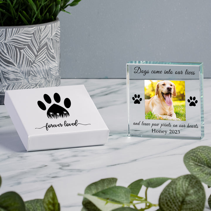 Personalised Paw Prints Glass Token with Photo
