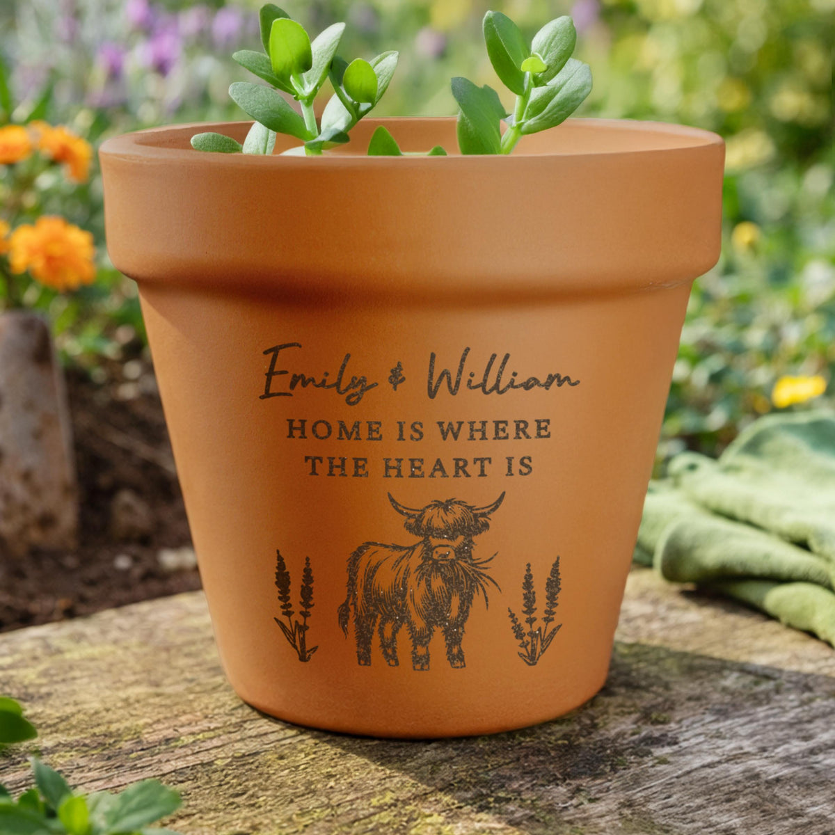 Personalised Highland Cow Terracotta Plant Pot, The Personal Shop, personalised gifts