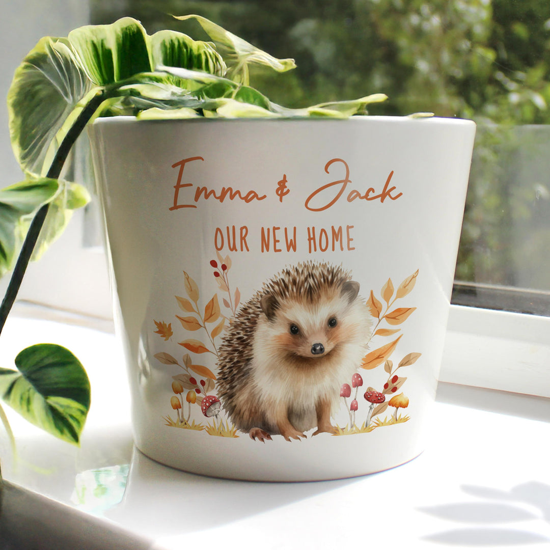 Personalised Hedgehog Large Plant Pot, The Personal Shop, personalised gifts
