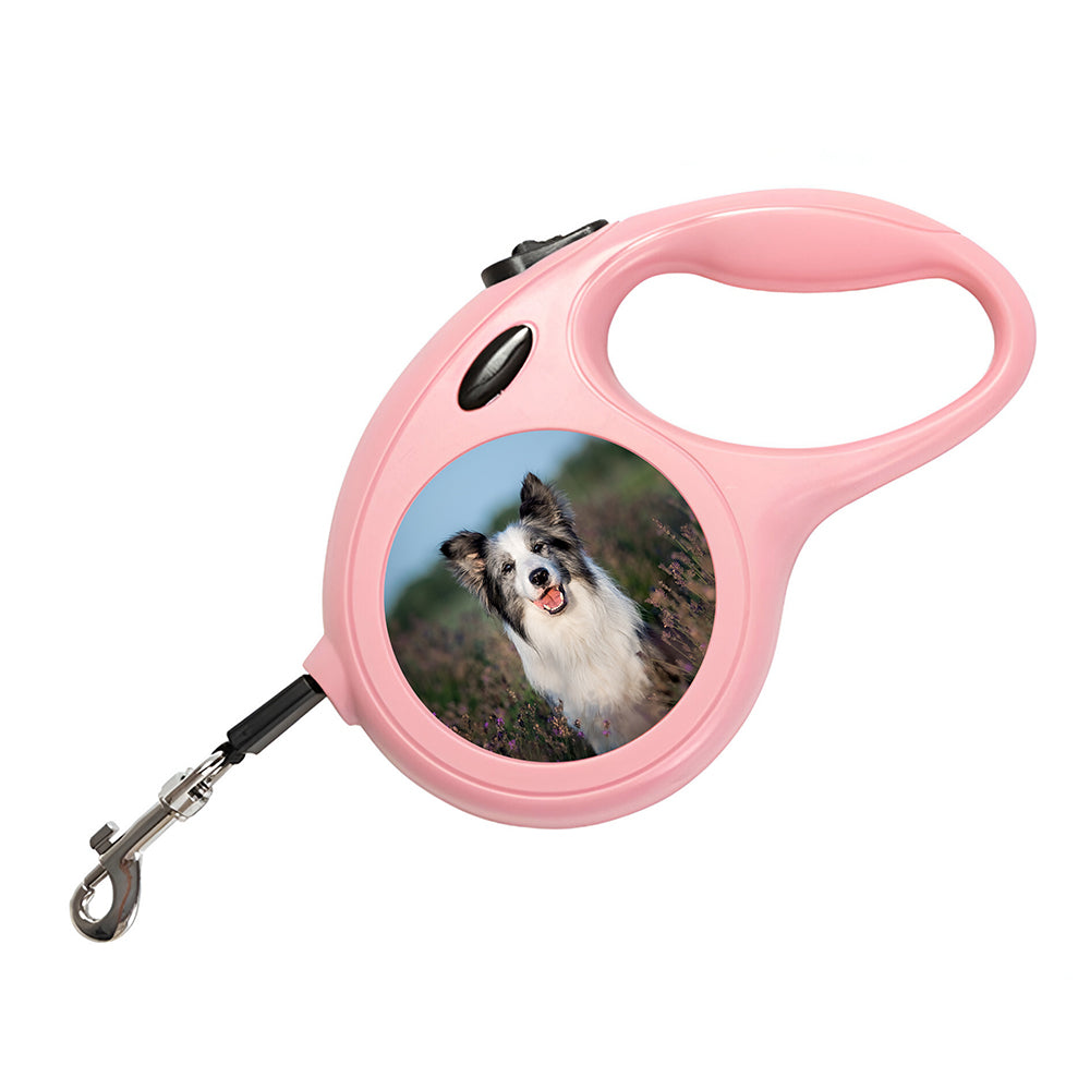 Photo Dog Lead