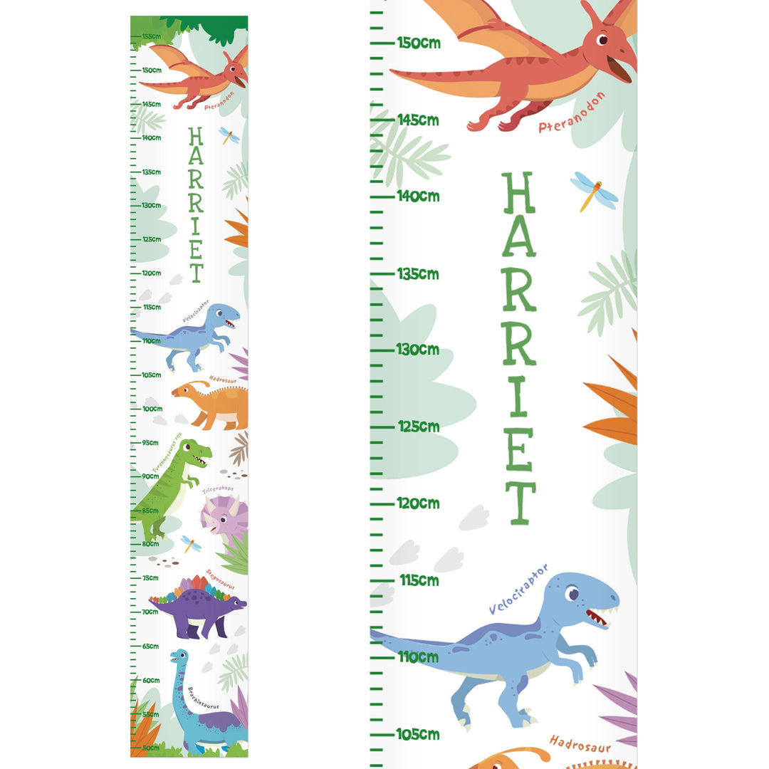 Personalised Dinosaur Height Chart, The Personal Shop, personalised gifts