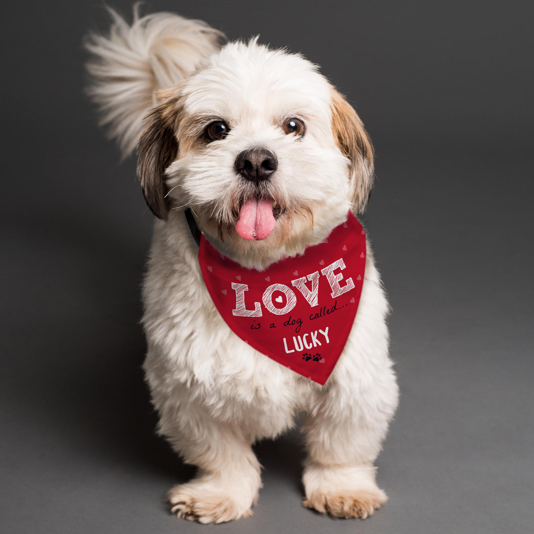 Personalised Love is... Dog Bandana – alternative view