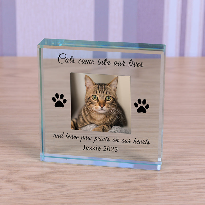 Glass Token - Cat Paw Prints