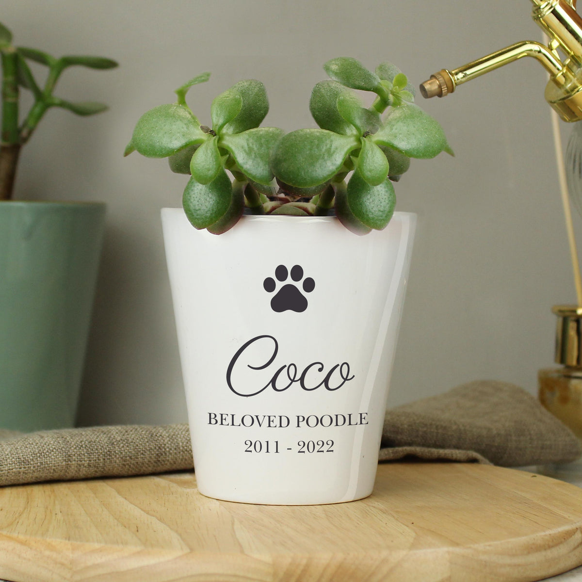 Personalised Paw Print Plant Pot – alternative view